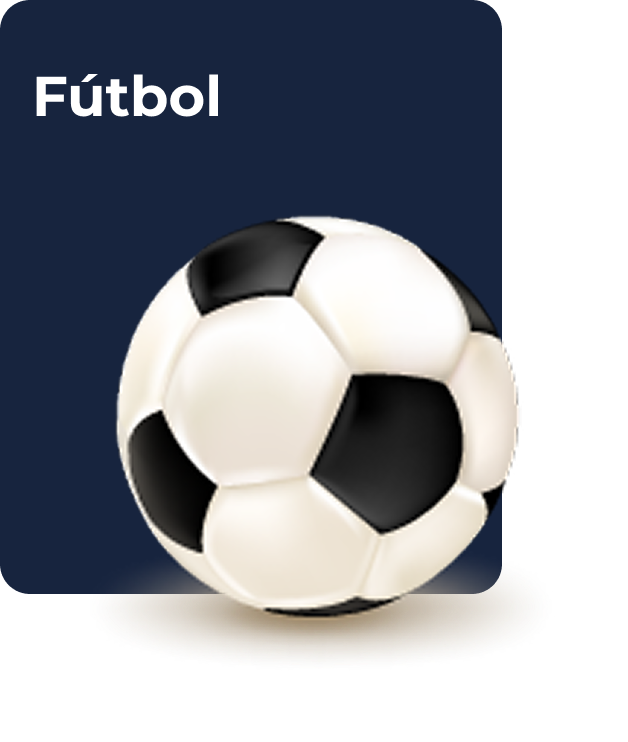 Balón de fútbol