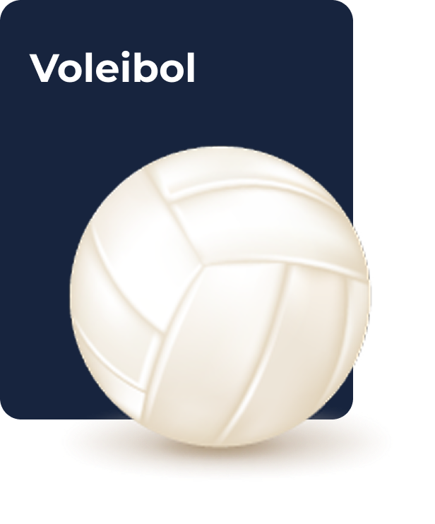 Balón de voleibol